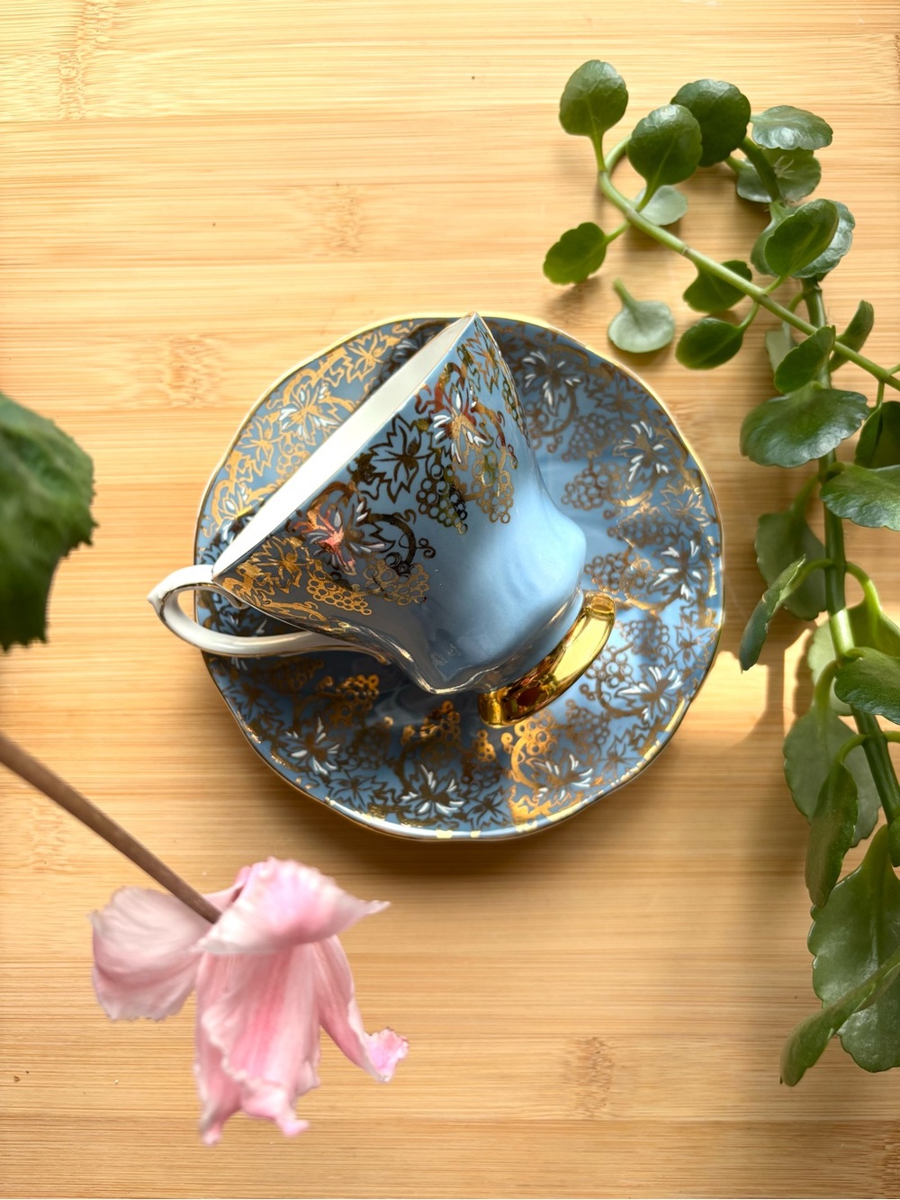 Royal Grafton Vintage Blue and Gold Floral Tea cup and Saucer Set